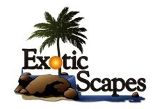  Profile Photos of Exotic Scapes 4307 E Turney Ave - Photo 1 of 1