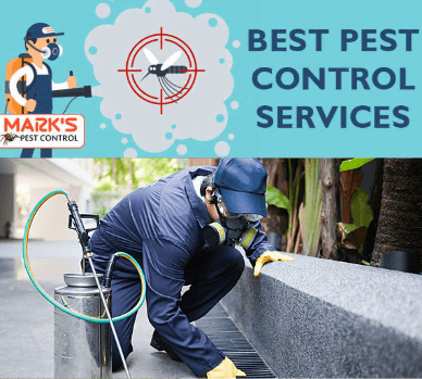  Profile Photos of Pest Control Sunshine Coast . - Photo 1 of 1