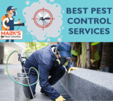 Pest Control Sunshine Coast, Sunshine Coast