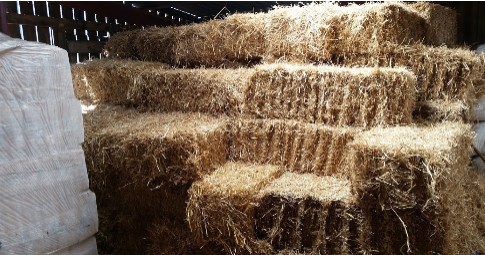  Profile Photos of Fleet Farm & Equestrian Fleetwood Farm, Rossall Lane - Photo 3 of 4