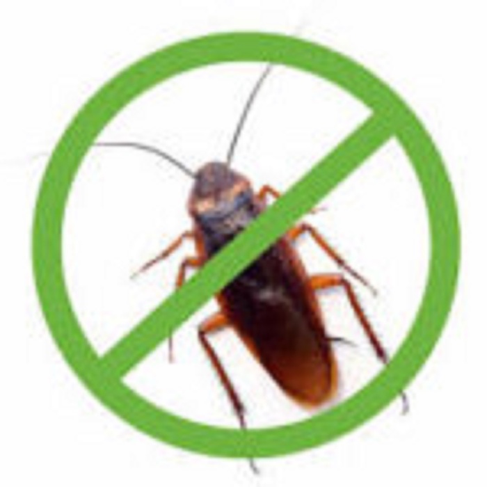  New Album of Cockroach Control N.A - Photo 2 of 4