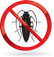  New Album of Cockroach Control N.A - Photo 4 of 4