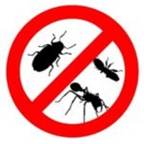 Cockroach Control, Toronto