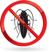 Cockroach Control, Toronto