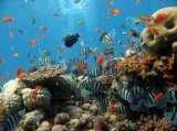 Sharm Day Tours, Cairo