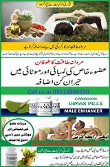 Menus & Prices, Penis Enlargement medicine in Pakistan 03214846250, karachi