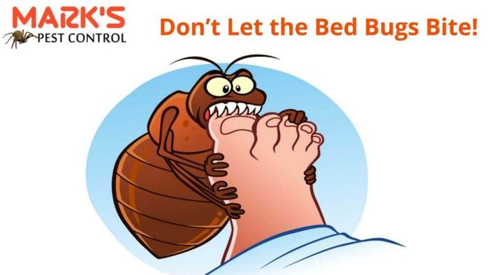  Profile Photos of Bedbugs Control Sydney Marks Pest Control - Photo 2 of 7