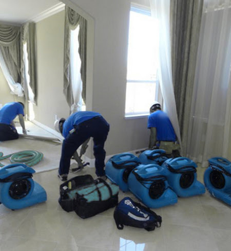  Profile Photos of Water Damage DMV 8858 Glenridge Ct, - Photo 1 of 1