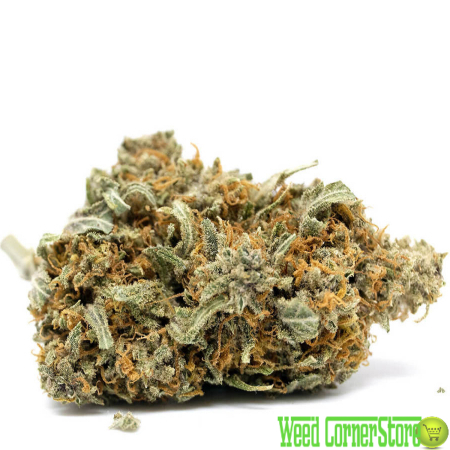  New Album of Weed CornerStore 1223 Wood Ave - Photo 4 of 8