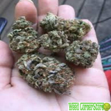  Weed CornerStore 1223 Wood Ave 