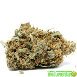  Weed CornerStore 1223 Wood Ave 