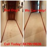 Supreme Cleaning Company, Lake Villa