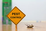 Bedbugs Control Brisbane, Brisbane