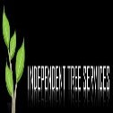 Stump Grinding Brisbane, Burpengary
