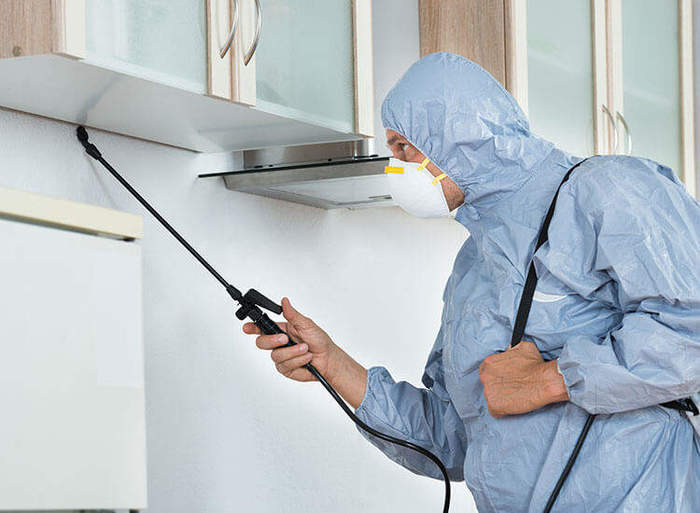  Profile Photos of Commercial Pest Control Treatments Melbourne, Victoria, Australia - Photo 1 of 1