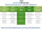 Menus & Prices, Social Media Penguin, Scottsdale