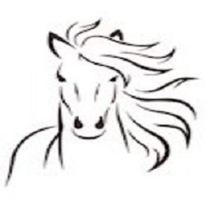  Profile Photos of Kuddebeest Coaching Kapelle-op-den-Bos - Photo 1 of 1