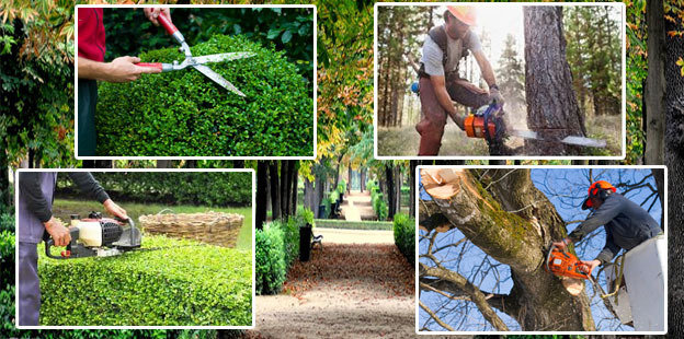  Tree Care of R H Madgwick & Sons 30, Stockwell Road - Photo 1 of 6