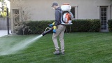 Hawx Pest Control, Kennesaw