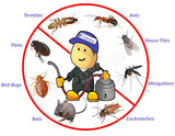 Rodent Control Brisbane, Brisbane