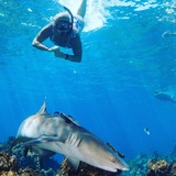  Fiji Vacations 711 West 17th Street, Suite H-1 