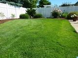 DTX Landscaping and Lawn Care, Denton