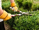 DTX Landscaping and Lawn Care, Denton