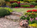 DTX Landscaping and Lawn Care, Denton