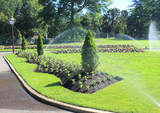 Sprinkler Repair Richardson, Richardson