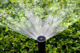 Sprinkler Repair Richardson, Richardson