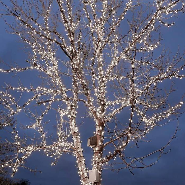  New Album of Festoon Light Suite 4, Astley Lodge 2 Queens Road - Photo 5 of 9