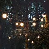  Festoon Light Suite 4, Astley Lodge 2 Queens Road 