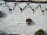 Festoon Light, Chorley