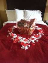 A Basket For All Occasions, Asheville