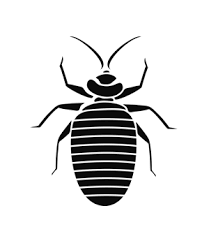  Profile Photos of Bedbugs Control Adelaide 11 - Photo 1 of 1