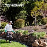Pro Active Pest Control, Roseville