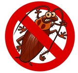 Flea Control Adelaide, Adelaide