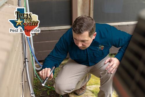  Profile Photos of Texas Star Pest & Termite 331 North Mill Street - Photo 5 of 5