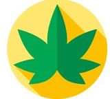  INSTANTMEDJOINT 3503, Virginia Beach 