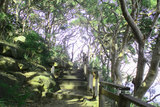  Sydney Walking Tours 17/10 Chilvers Road 