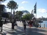  Sydney Walking Tours 17/10 Chilvers Road 