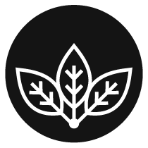  Profile Photos of Birch Moon Wellness Co. 222 Blackburn Ave - Photo 1 of 12