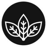  Birch Moon Wellness Co. 222 Blackburn Ave 