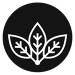  Birch Moon Wellness Co. 222 Blackburn Ave 