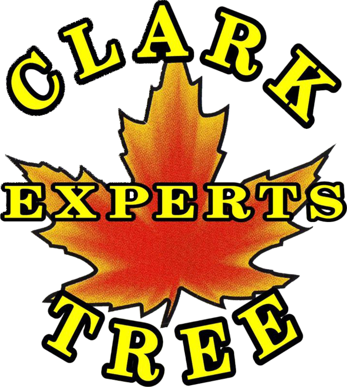  Profile Photos of Clark Tree Experts 1450 Level Grove Road - Photo 1 of 3