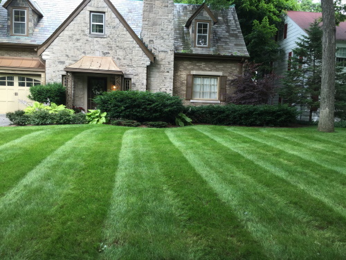  Profile Photos of All Seasons Landscaping 12109 W. Waldo Ave. - Photo 2 of 4