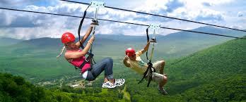  Zipline Services of Hks Designer and Consultant Intl. 21 Woodland Close, #02-34 Primz Bizhub Singapore 737854 - Photo 1 of 11