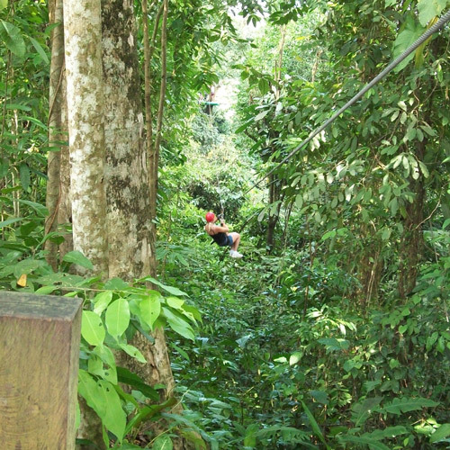  Zipline Services of Hks Designer and Consultant Intl. 21 Woodland Close, #02-34 Primz Bizhub Singapore 737854 - Photo 2 of 11