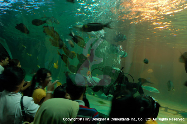 Songkhla Zoo, Thailand-2 Aquarium Services of Hks Designer and Consultant Intl. 21 Woodland Close, #02-34 Primz Bizhub Singapore 737854 - Photo 4 of 7