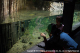 Songkhla Zoo, Thailand-1 Hks Designer and Consultant Intl. 21 Woodland Close, #02-34 Primz Bizhub Singapore 737854 